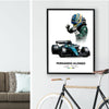Fernando Formula 1