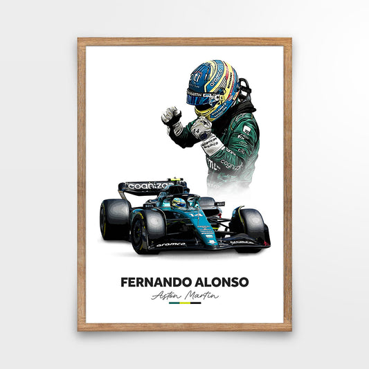 Fernando Formula 1