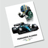 Fernando Formula 1