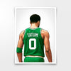 Tatum Numbered
