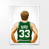 Bird Numbered