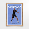 Novak Djokovic Icons