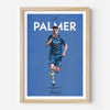 Palmer Icons