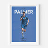 Palmer Icons