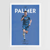 Palmer Icons