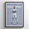 Bellingham Icons