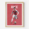 Rice Icons