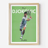 Novak Icons